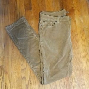PrAna Corduroy Pants